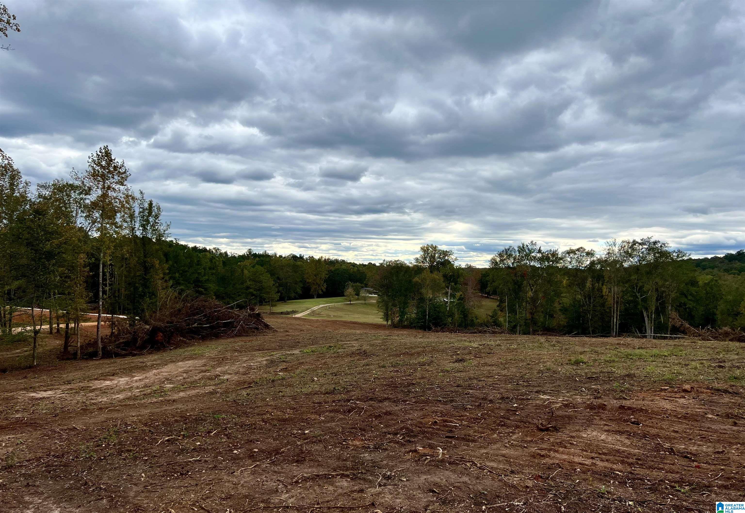 0 County Road 4 Wedowee, AL 36278 - Photo 19 of 24