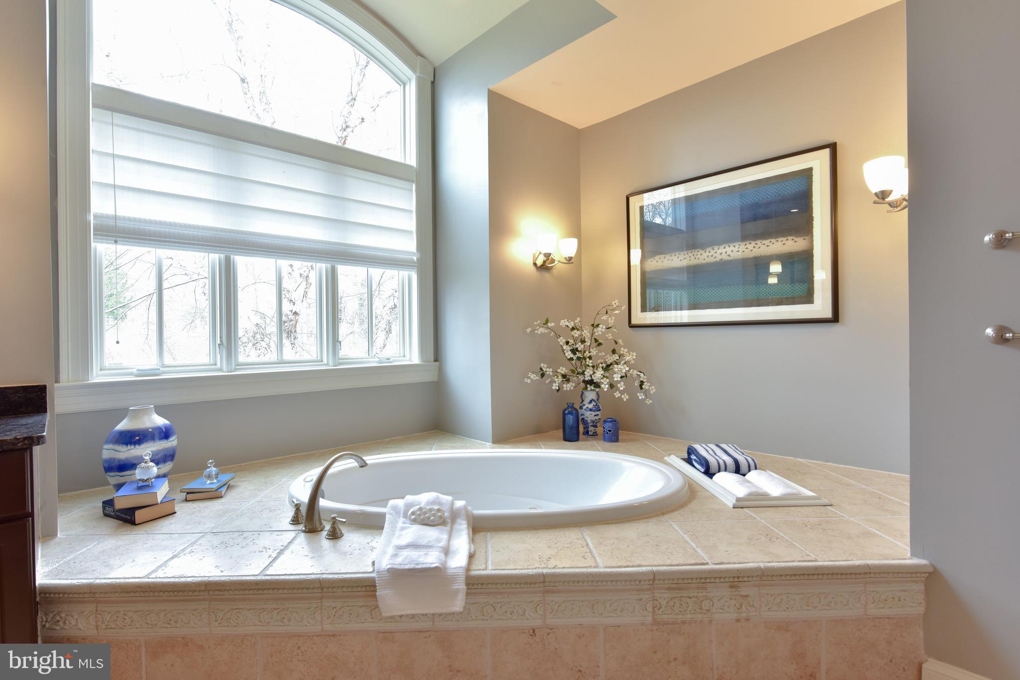 983 Spring Hill Road McLean, VA 22102 - Photo 20 of 41 Whirlpool tub in Master Bath