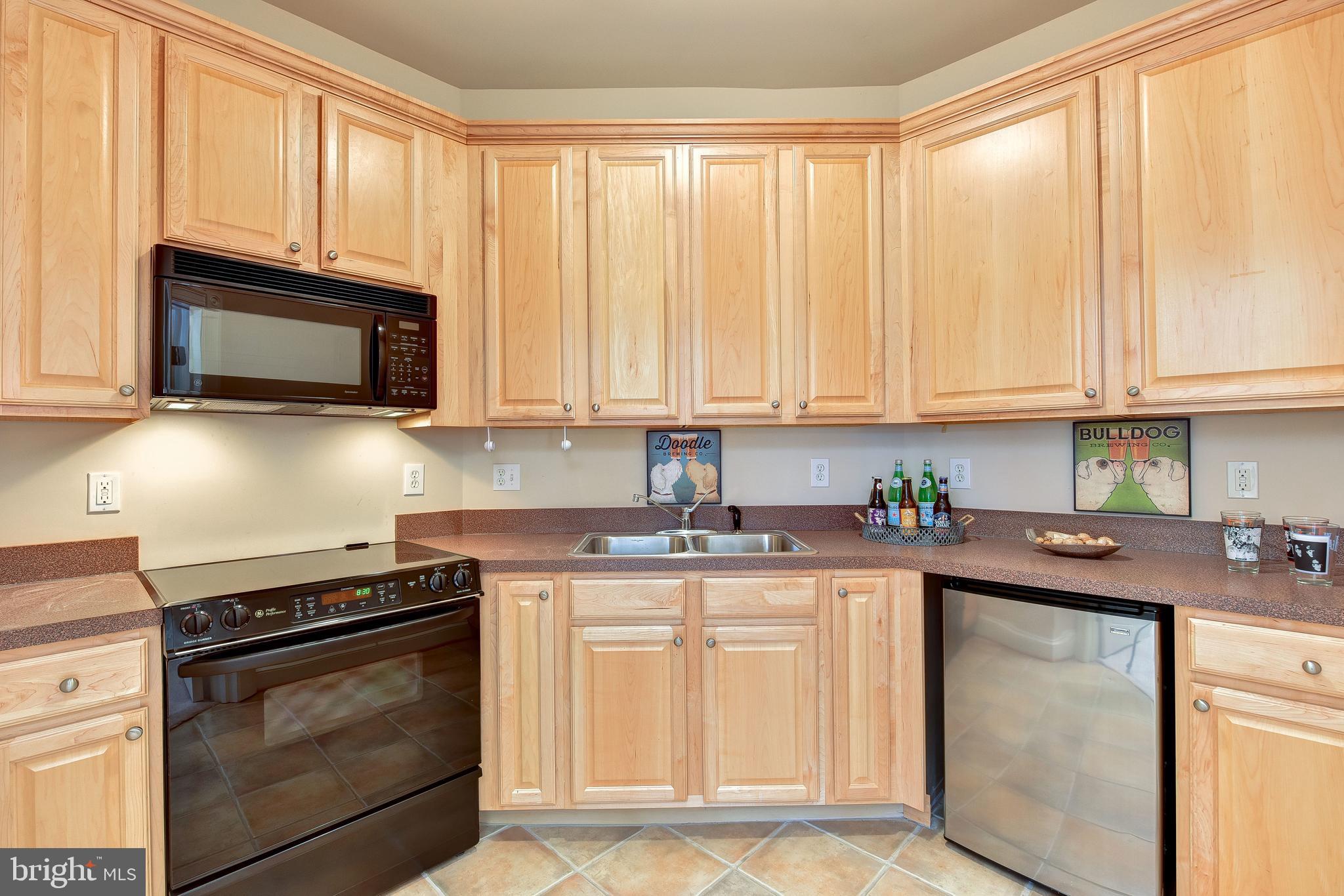 983 Spring Hill Road McLean, VA 22102 - Photo 27 of 41 Second kitchen for entertaining in lower level