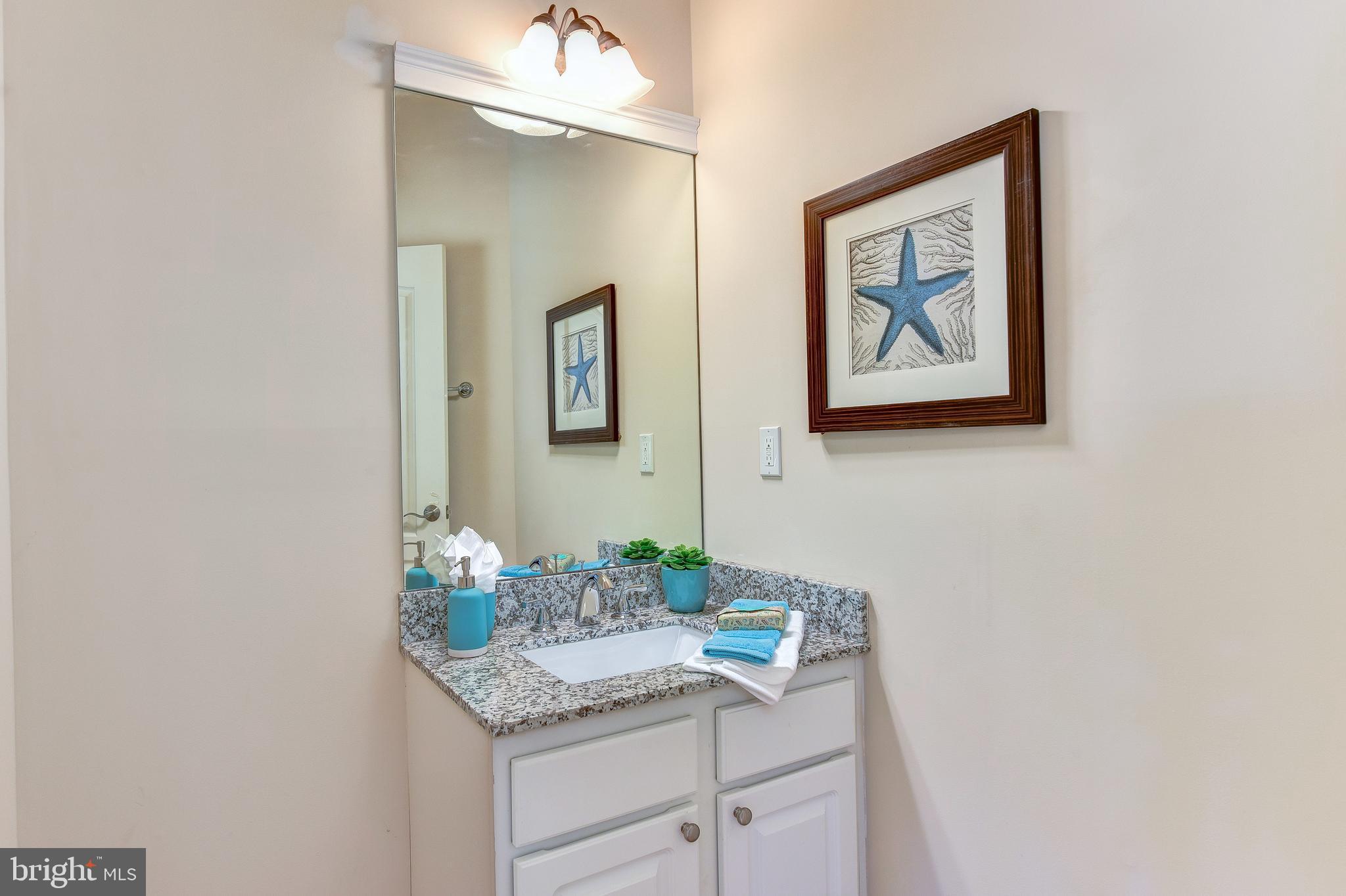 983 Spring Hill Road McLean, VA 22102 - Photo 33 of 41 Lower level Powder Room