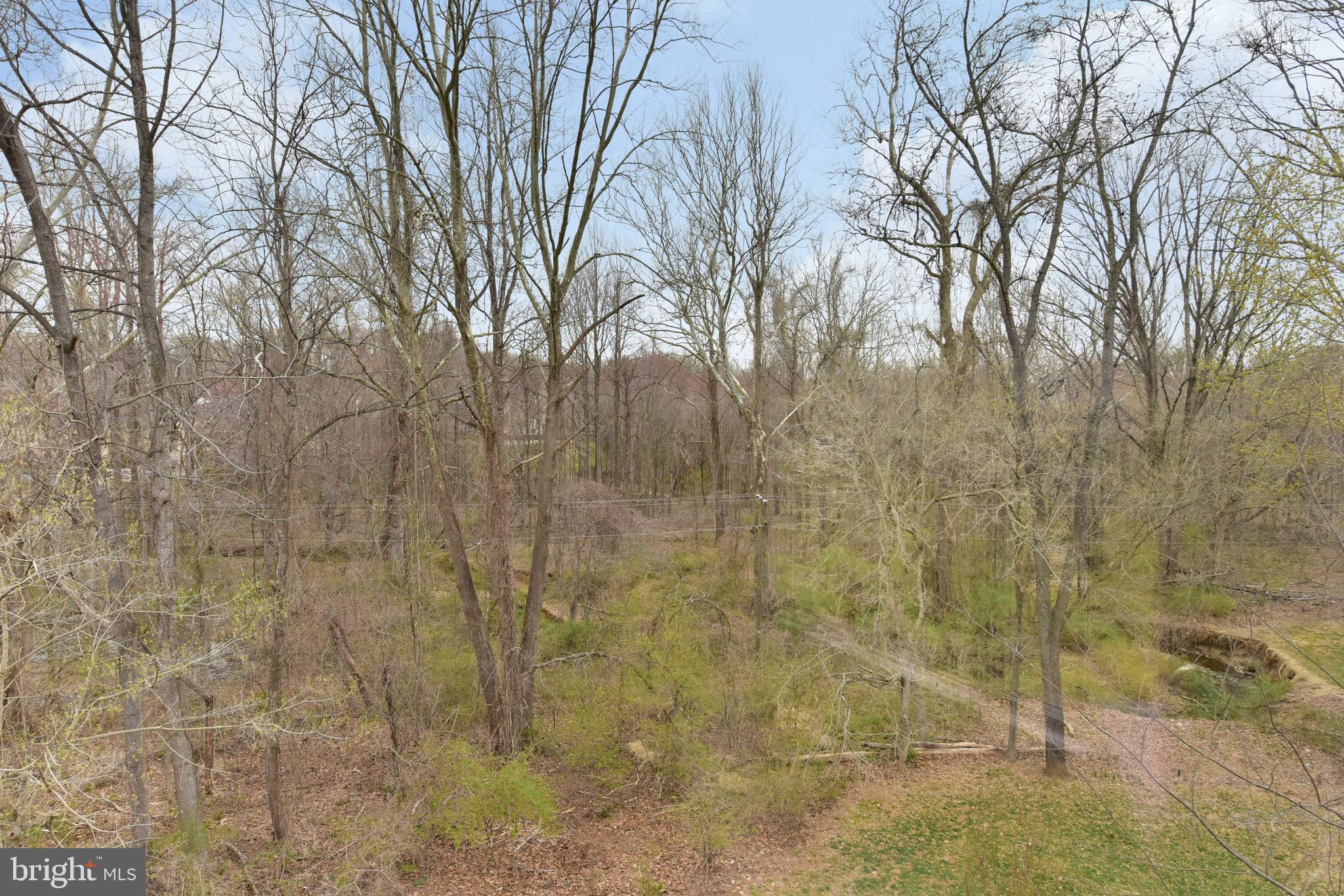 983 Spring Hill Road McLean, VA 22102 - Photo 38 of 41 Tall trees offering even more backyard privacy