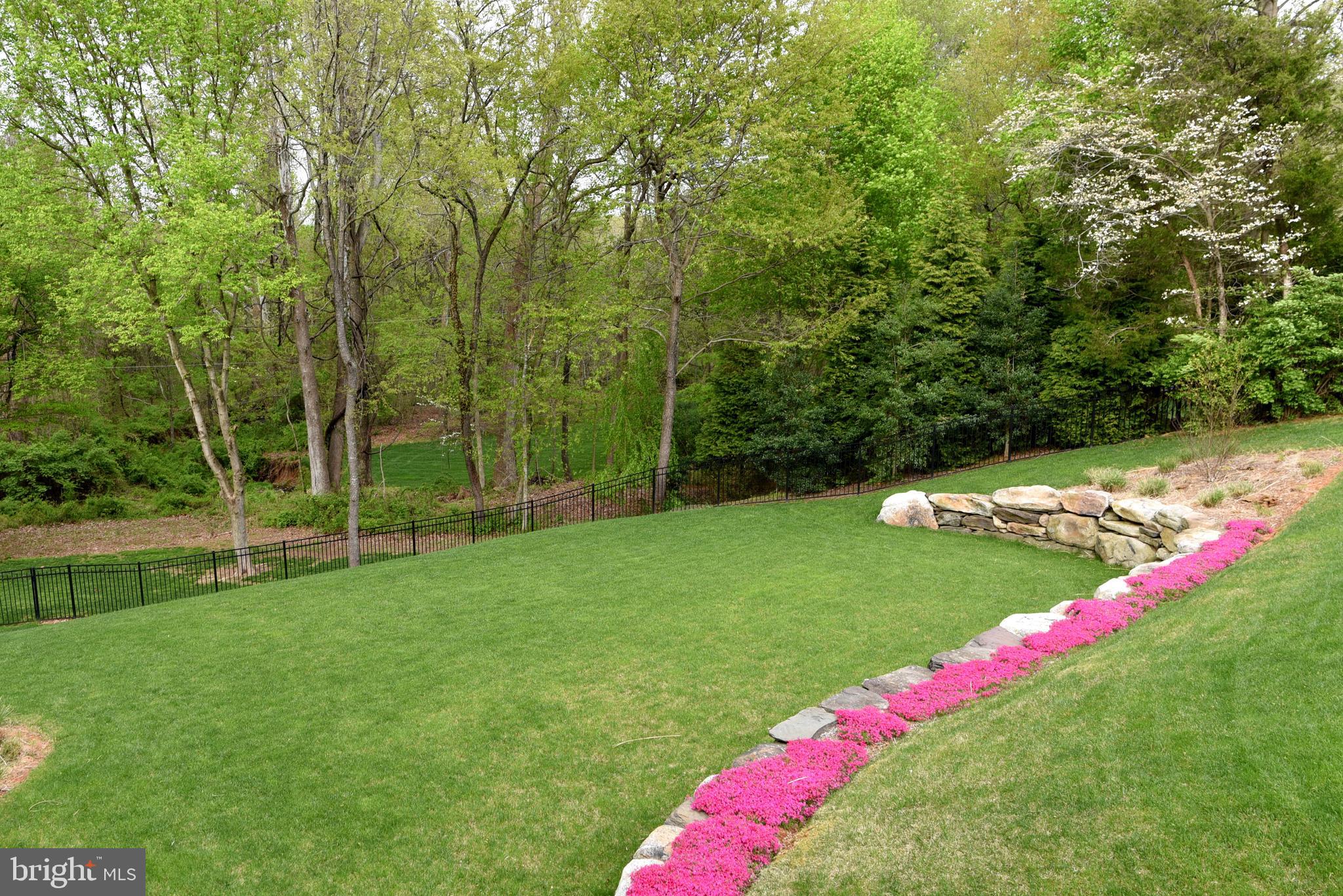 983 Spring Hill Road McLean, VA 22102 - Photo 39 of 41 Spring time on Spring Hill Road!
