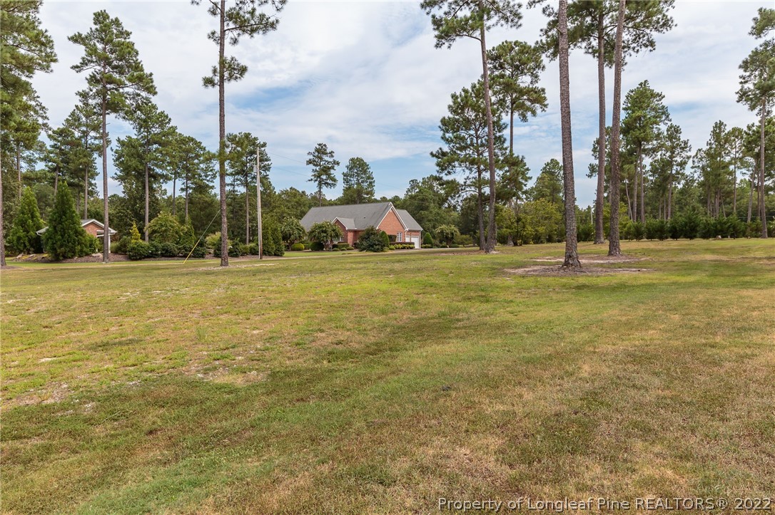576 Juniper Lake Road West End, NC 27376 - Photo 31 of 40 Gallery Image 31