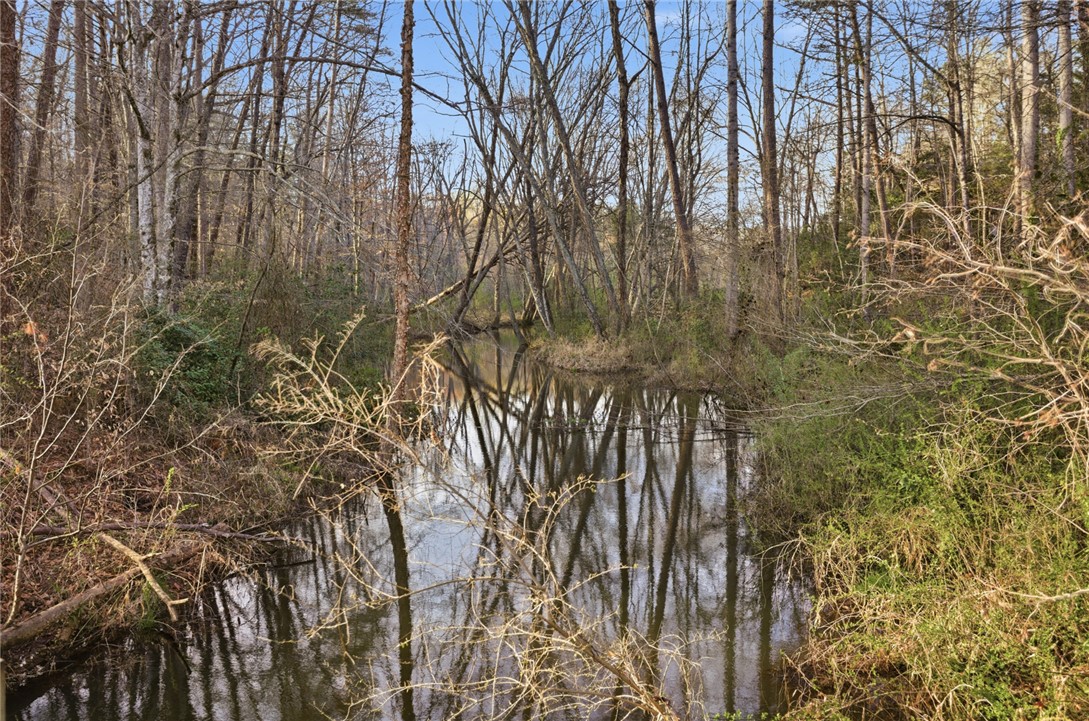 231 Lakeside Drive Walhalla, SC 29691 - Photo 44 of 47