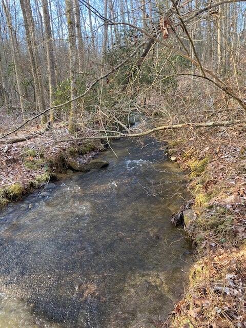142 Cole Road Deer Lodge, TN 37726 - Photo 56 of 77 20220322195752243571000000-o