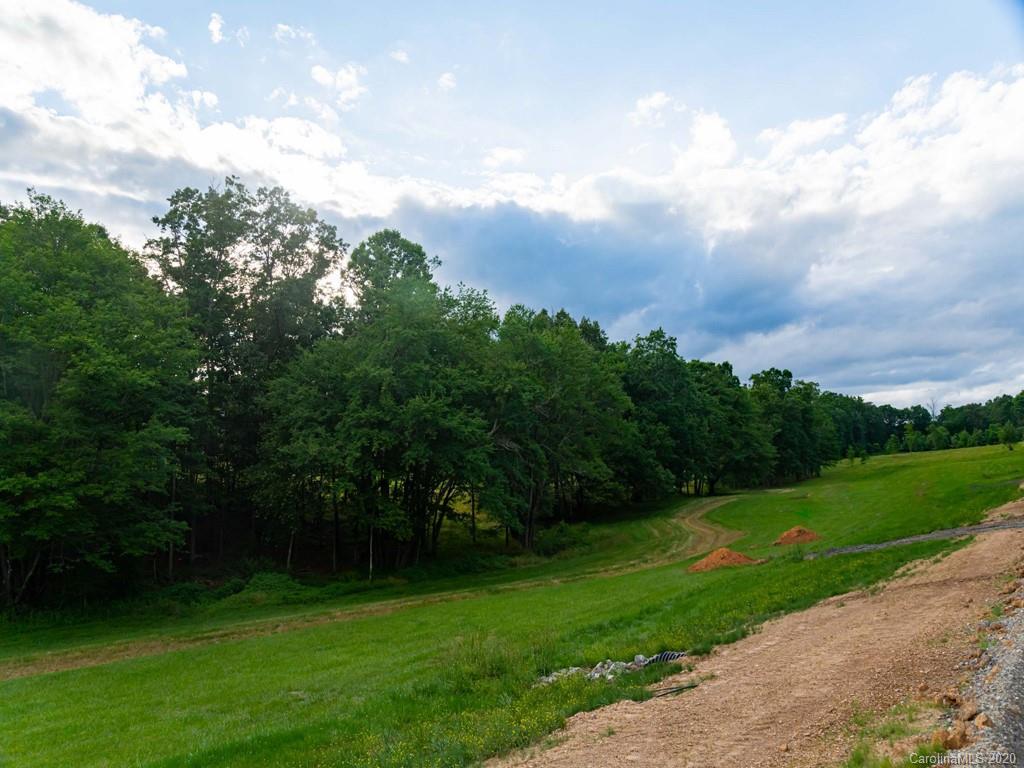 Lot 16 Turkey Ridge Road Fletcher, NC 28732 - Photo 2 of 10 Gallery Image 2
