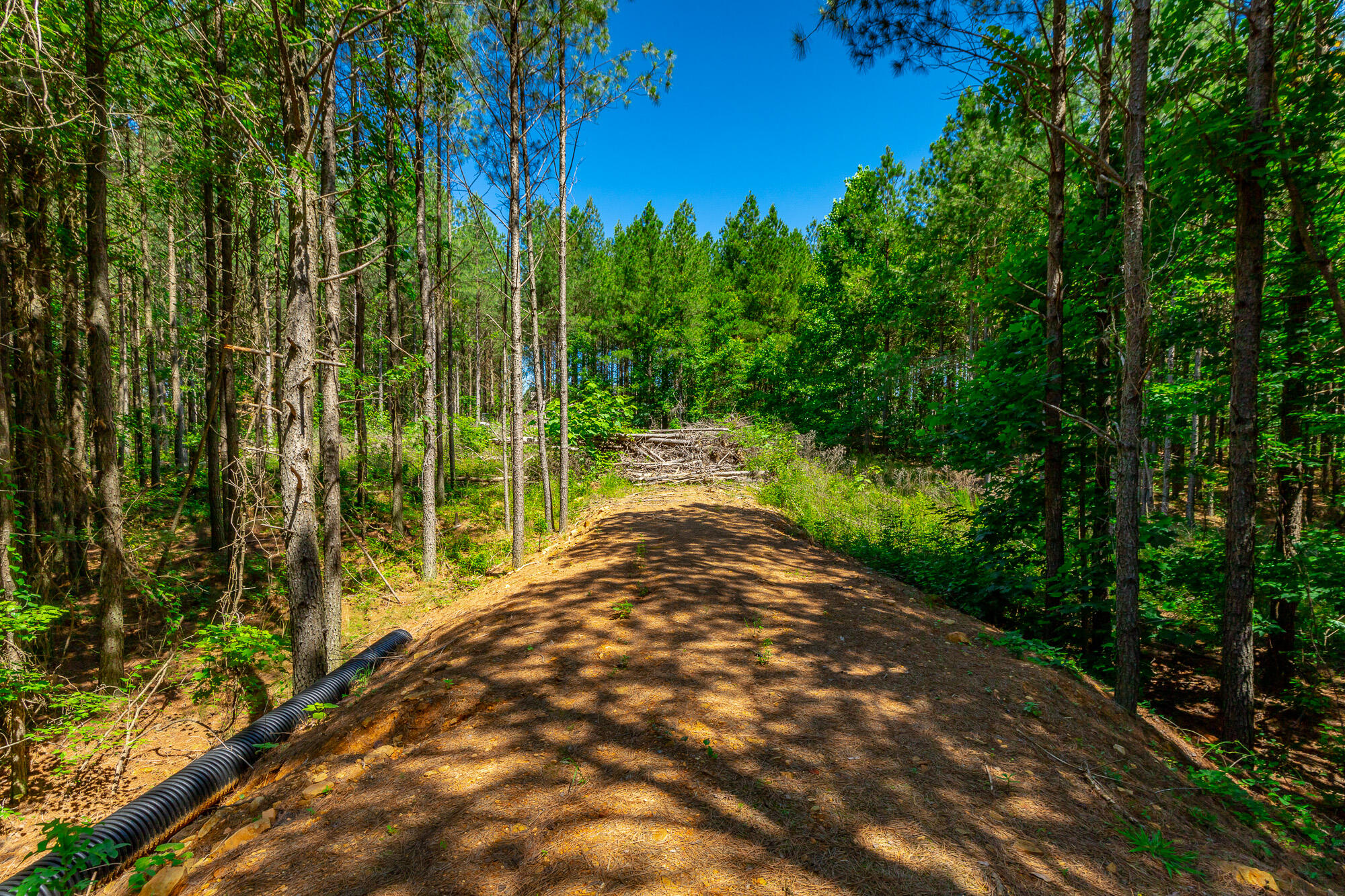 0 Split Rail Way, Unit LOT 1163 Guild, TN 37340 - Photo 6 of 118 River Gorge Lot 1163 HD-18