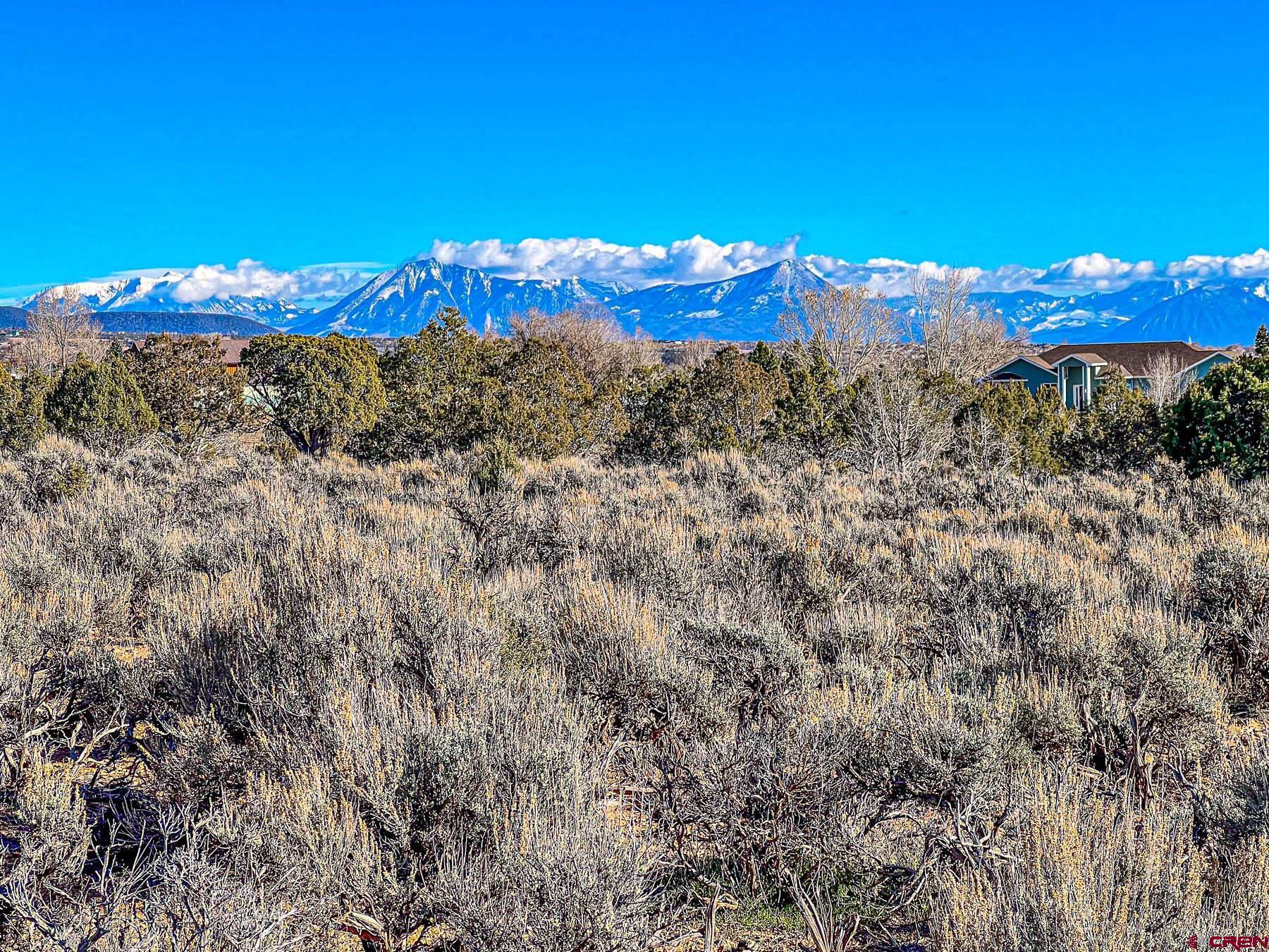 15369 2525 Road Cedaredge, CO 81413 - Photo 12 of 27