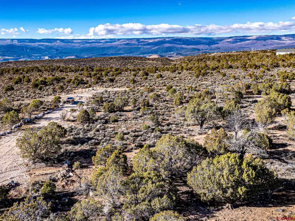 a view of city and ocean