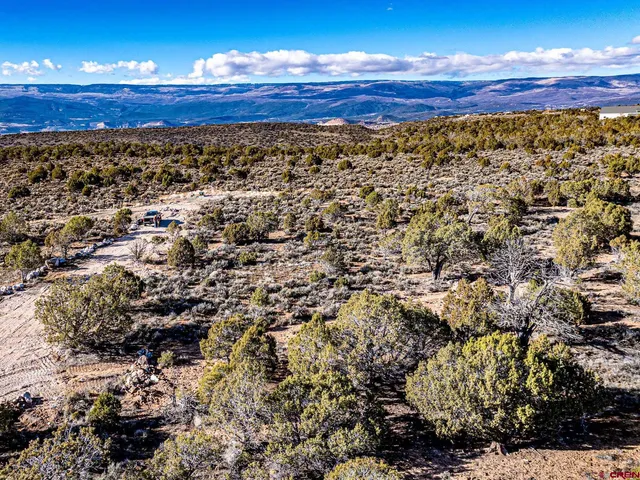 a view of city and ocean