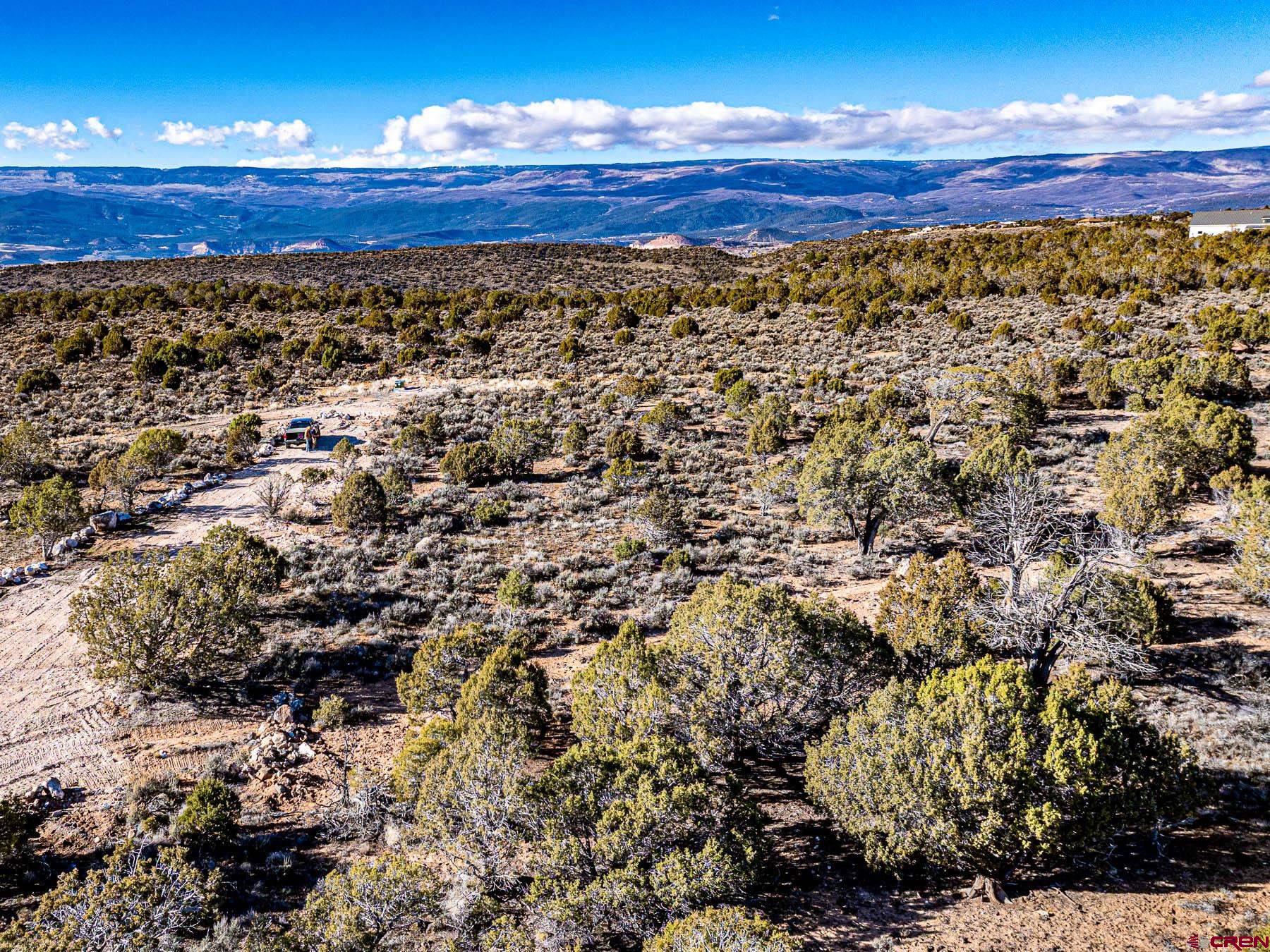15369 2525 Road Cedaredge, CO 81413 - Photo 13 of 27 a view of a room with wooden floor