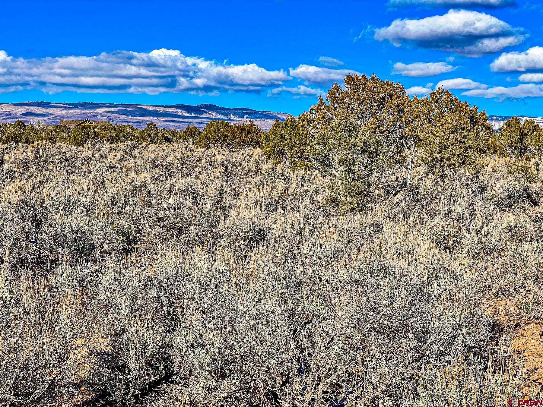 15369 2525 Road Cedaredge, CO 81413 - Photo 15 of 27 a view of a large yard with lots of bushes