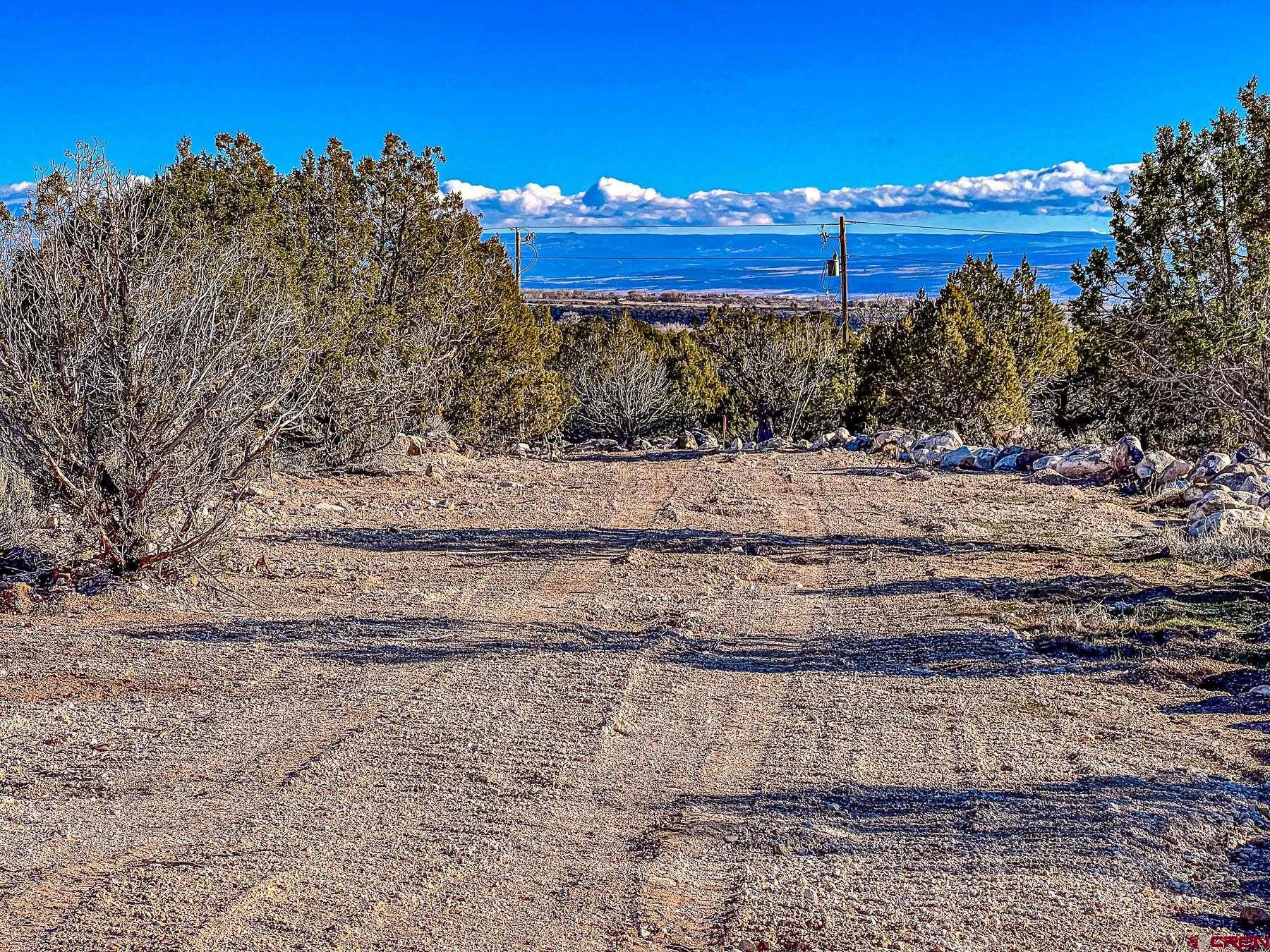 15369 2525 Road Cedaredge, CO 81413 - Photo 16 of 27 a view of a yard with a house