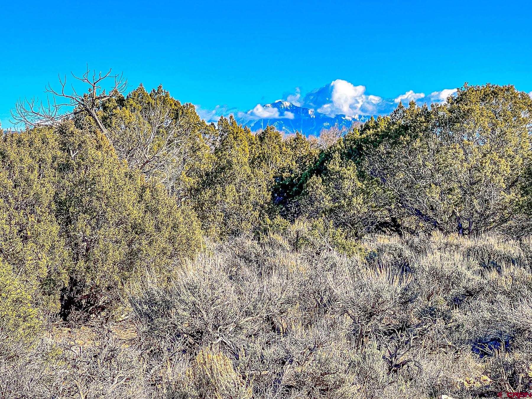 15369 2525 Road Cedaredge, CO 81413 - Photo 17 of 27 a view of a houses with a mountain in the background