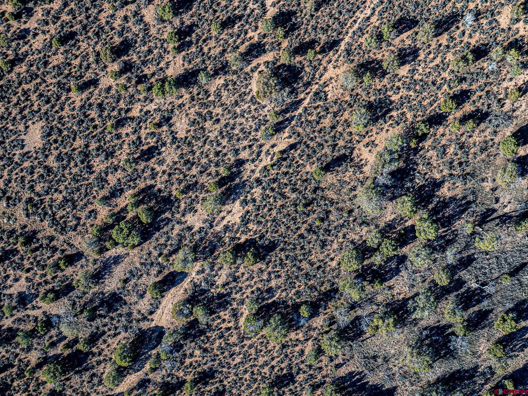 15369 2525 Road Cedaredge, CO 81413 - Photo 18 of 27 a view of a city