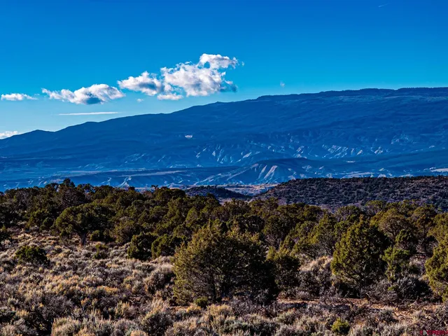 a view of a yard with an ocean