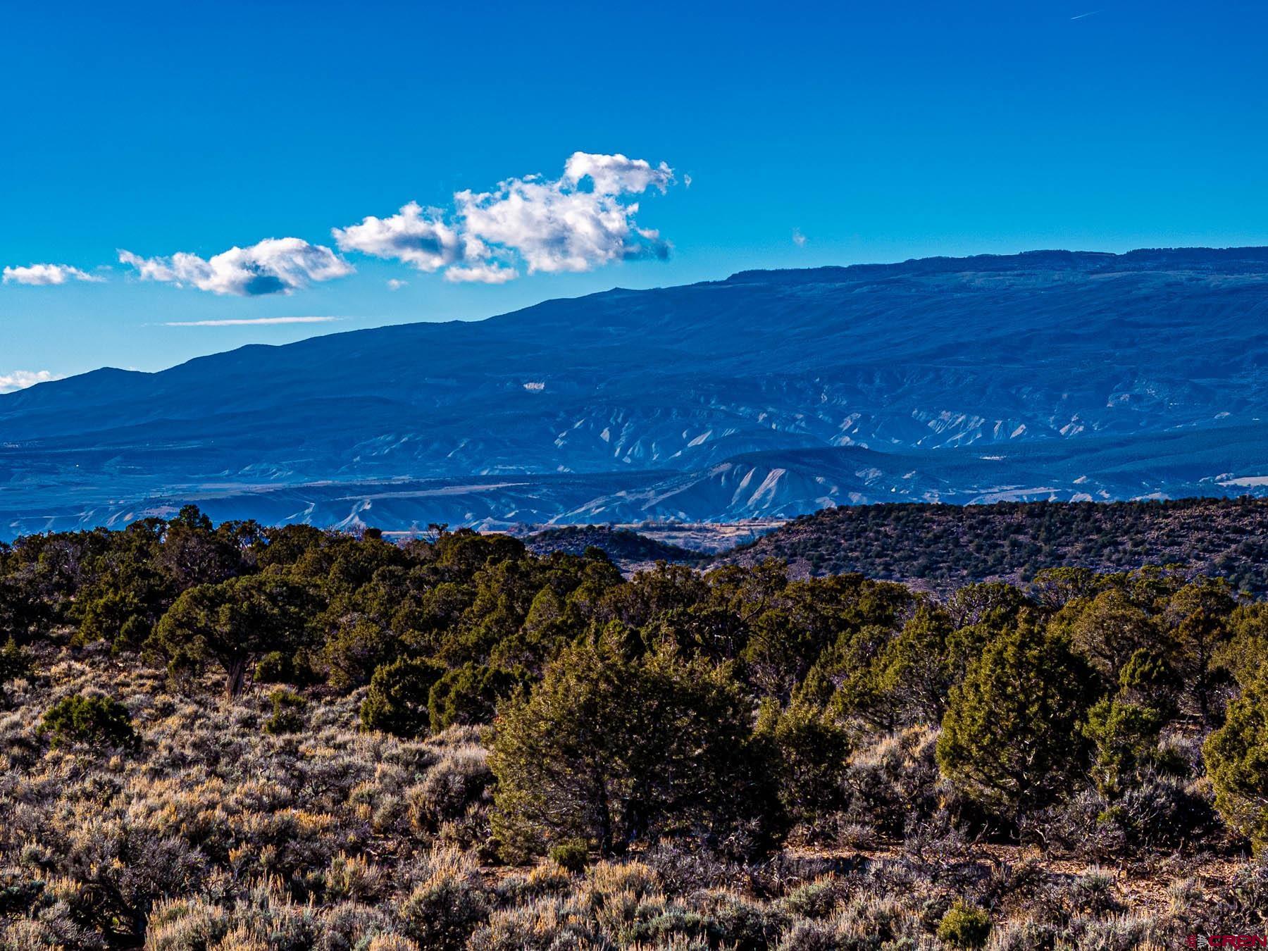 15369 2525 Road Cedaredge, CO 81413 - Photo 19 of 27 a view of a of a building