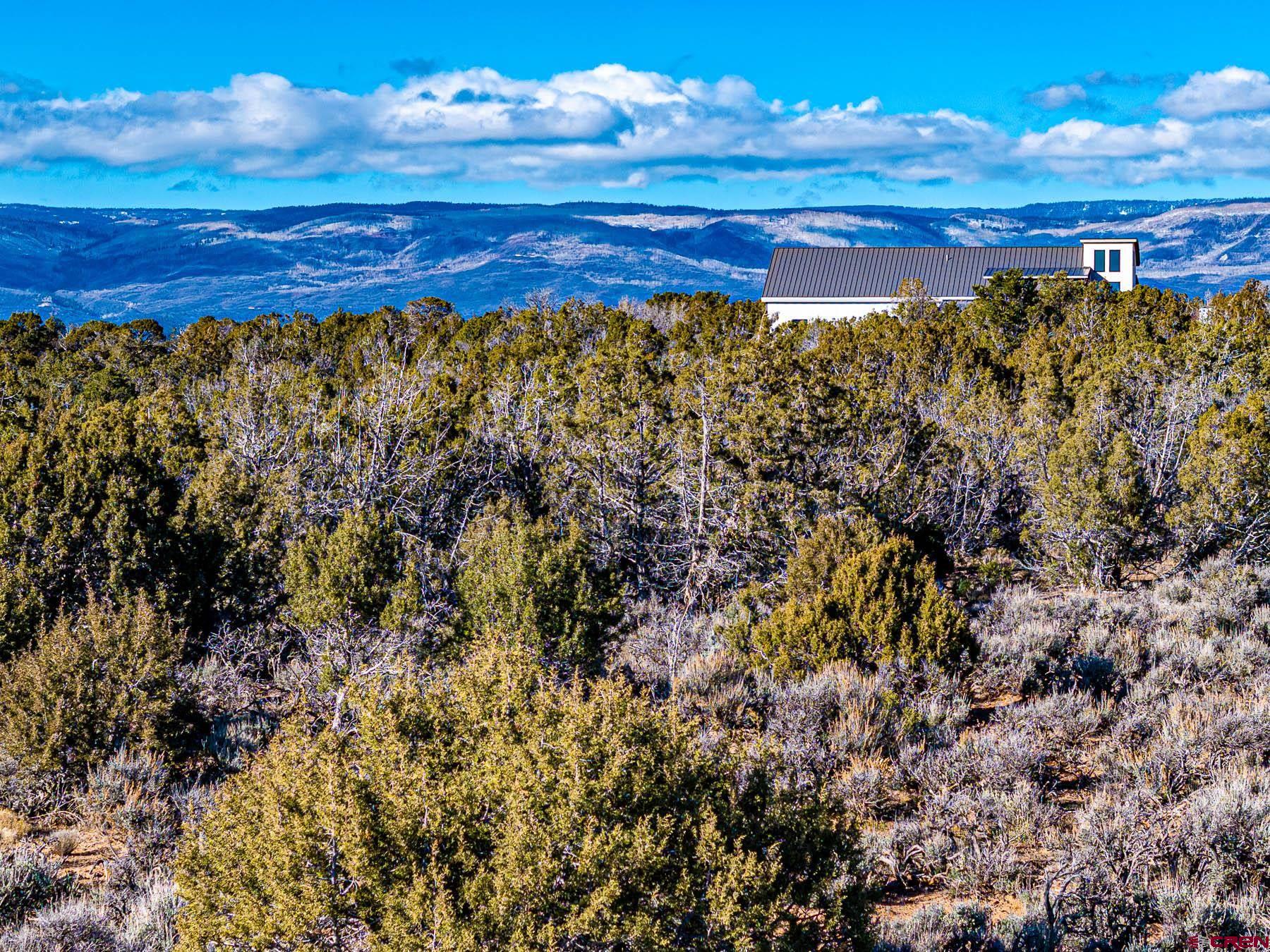 15369 2525 Road Cedaredge, CO 81413 - Photo 20 of 27 a view of a yard with an ocean