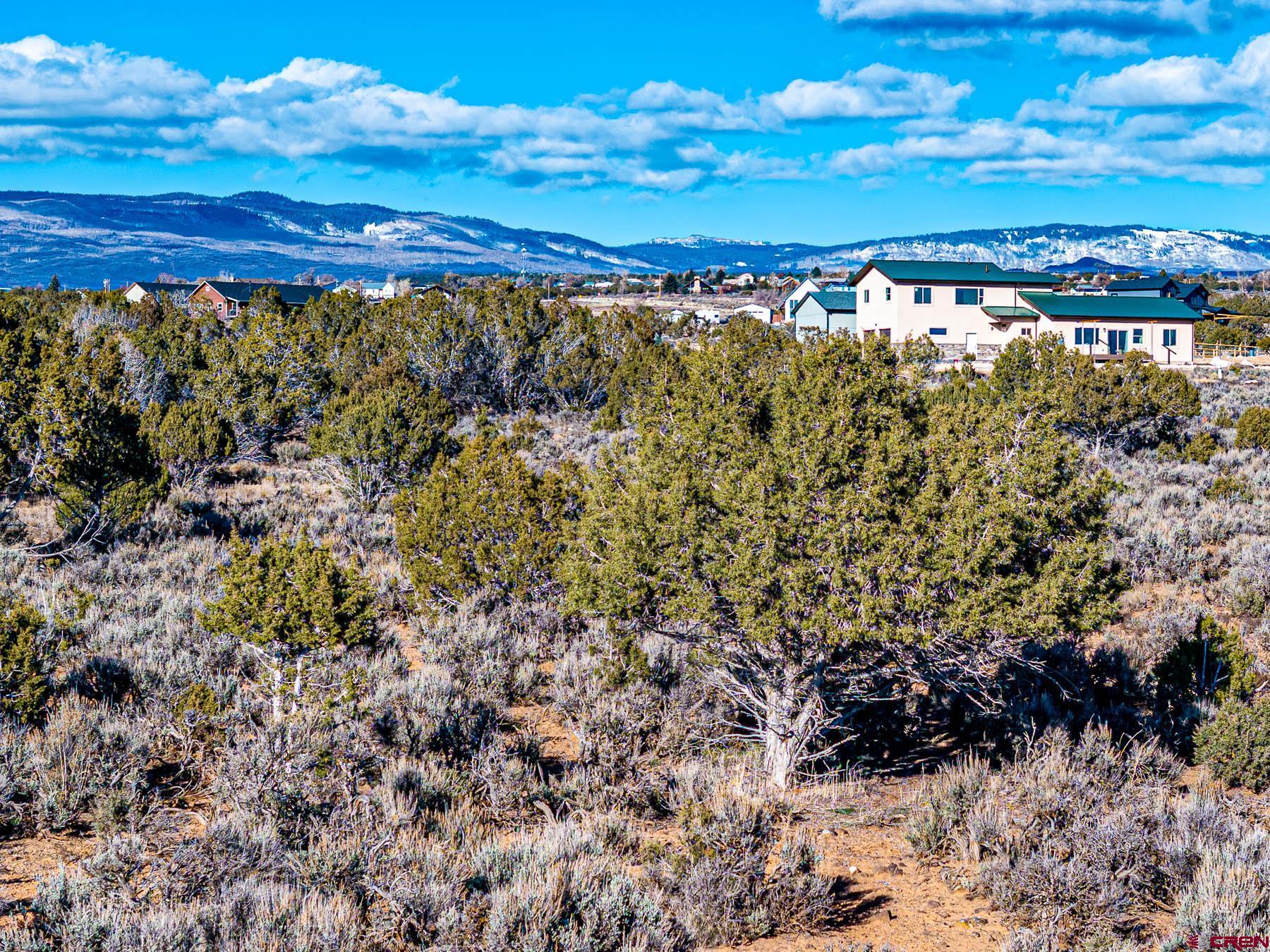 15369 2525 Road Cedaredge, CO 81413 - Photo 21 of 27 a view of a houses with a yard