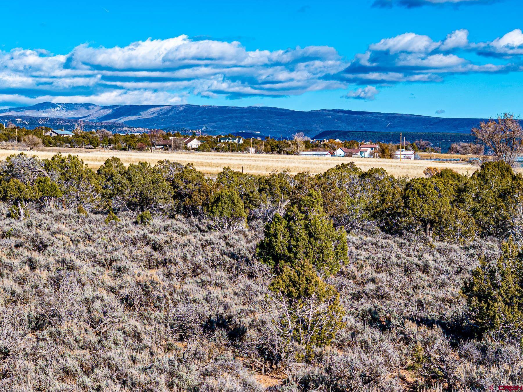 15369 2525 Road Cedaredge, CO 81413 - Photo 23 of 27