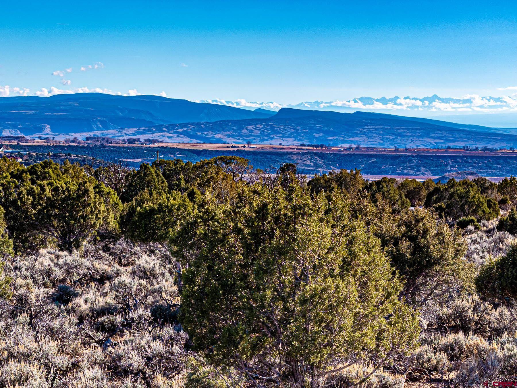 15369 2525 Road Cedaredge, CO 81413 - Photo 25 of 27 a view of a city with a mountain
