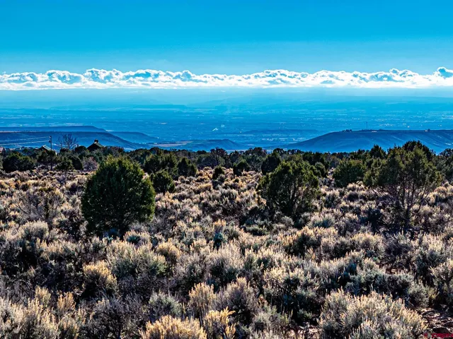 $250,000 | 15369 2525 Road, Cedaredge, CO 81413