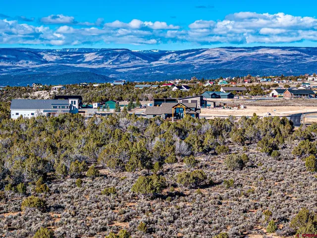 $250,000 | 15369 2525 Road, Cedaredge, CO 81413