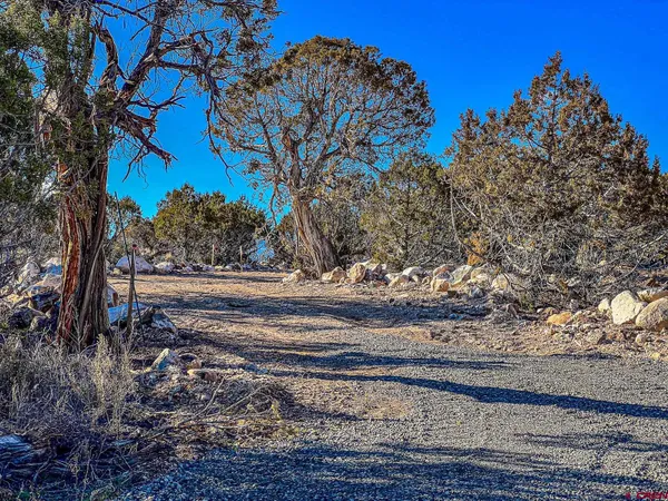 a view of a yard with wooden fence