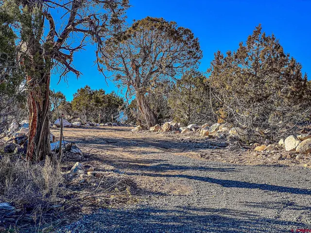 a view of a yard with wooden fence