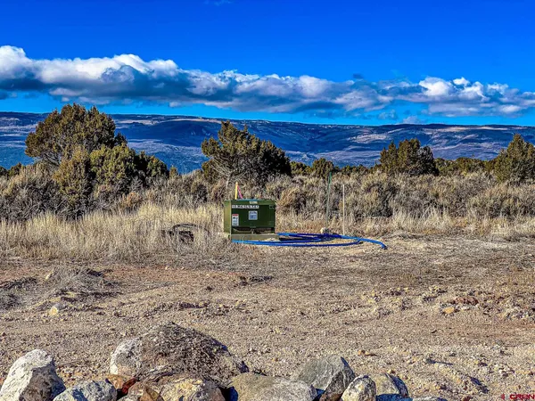 a view of a dry yard with wooden fence