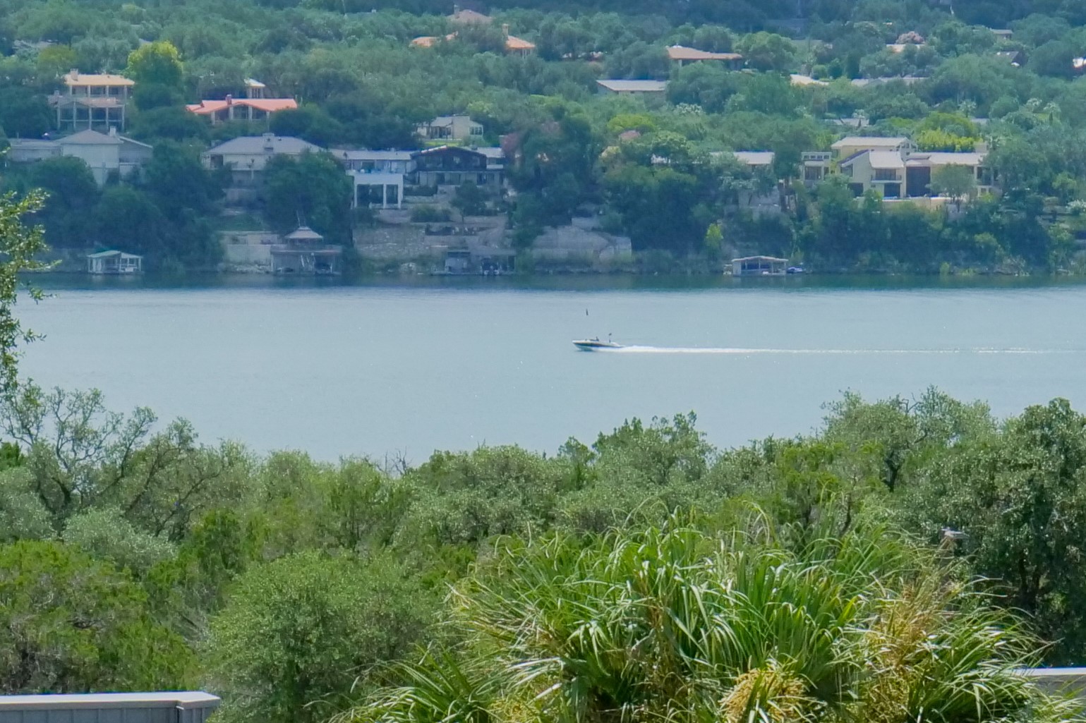 Water view with a heavily wooded area