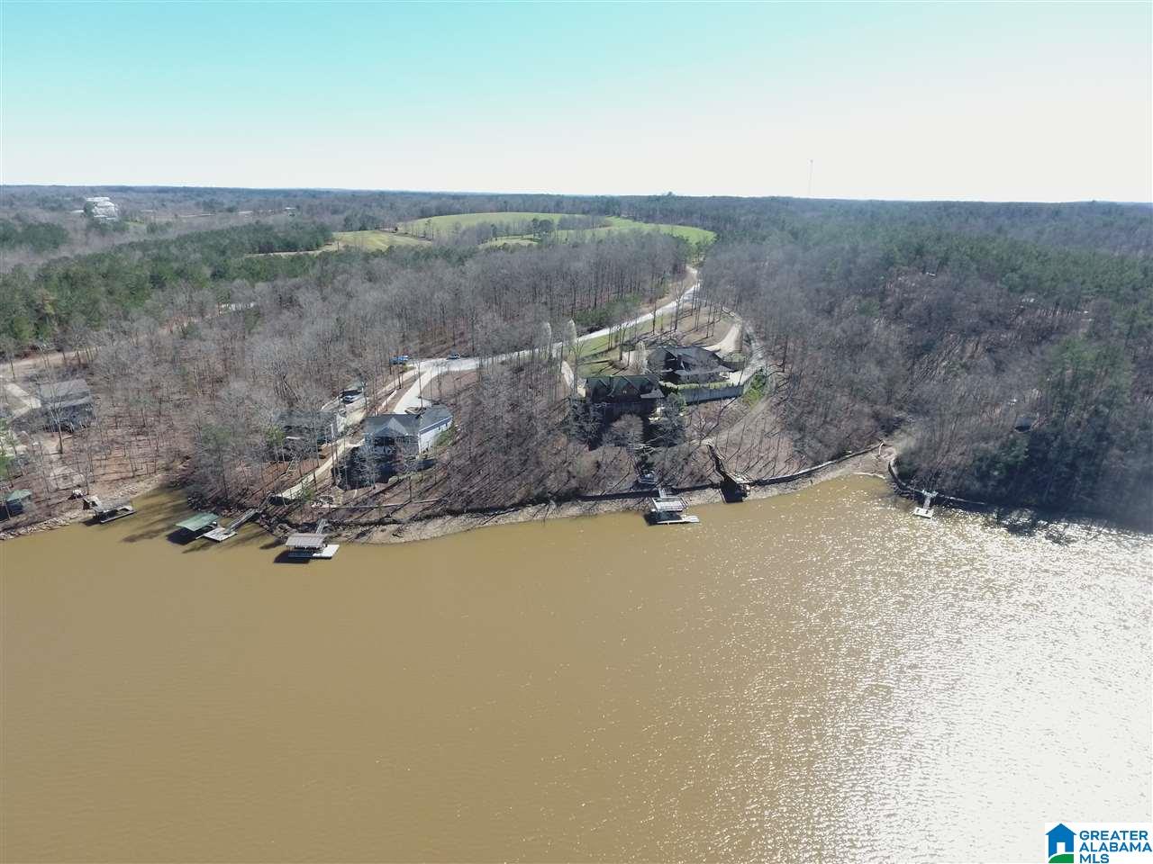 46 Ridgeview Court, Unit LOT #46 Wedowee, AL 36278 - Photo 7 of 15