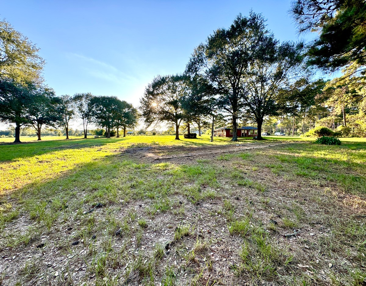 1 Hoke Road Richards, TX 77873 - Photo 19 of 43 a view of a trees in a yard