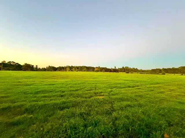 swimming pool view from a balcony