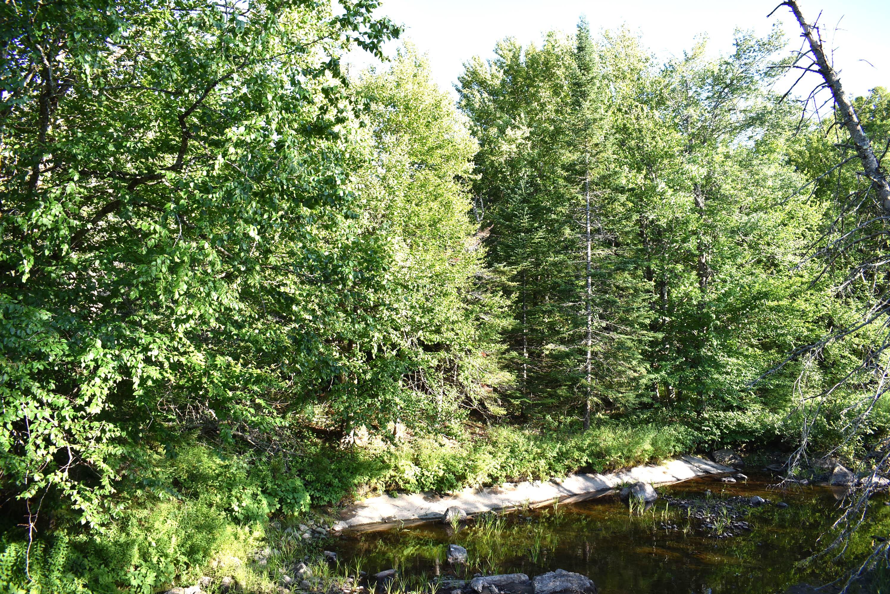 Knox Kenney Road Knox, ME 04986 - Photo 13 of 14 DSC_0147 - Copy (3)