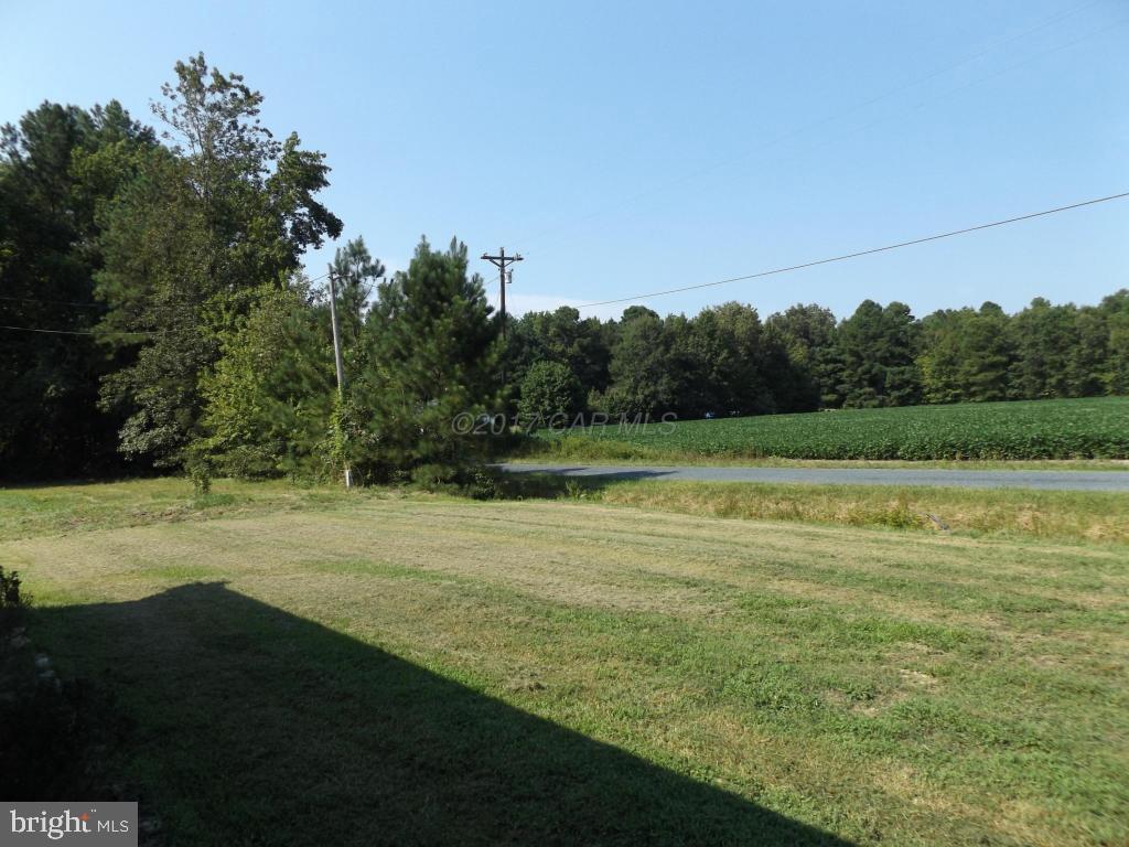 11450 Pine Pole Road Princess Anne, MD 21853 - Photo 11 of 12 Gallery Image 11