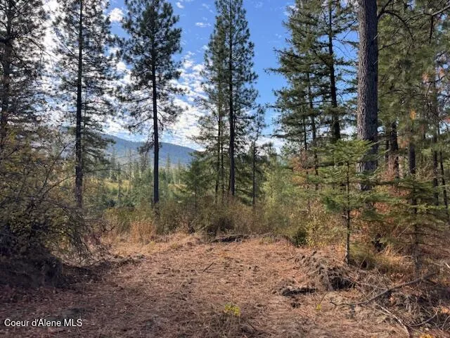 $190,000 | 2 Dole Camp Road, Desmet, ID 83824