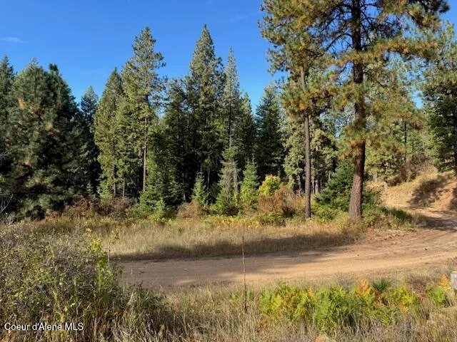 $190,000 | 2 Dole Camp Road, Desmet, ID 83824