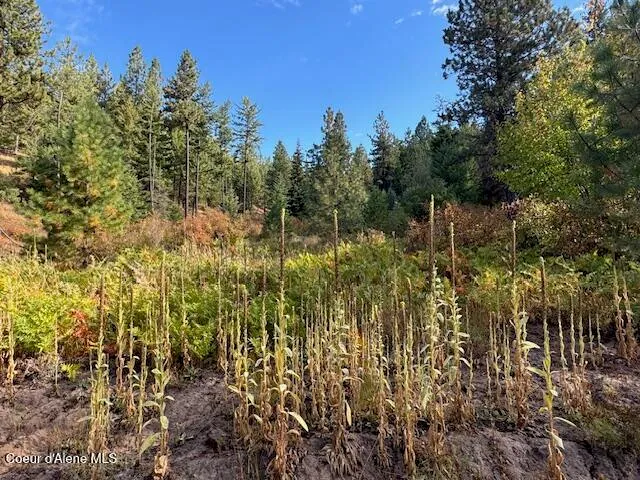 $190,000 | 2 Dole Camp Road, Desmet, ID 83824