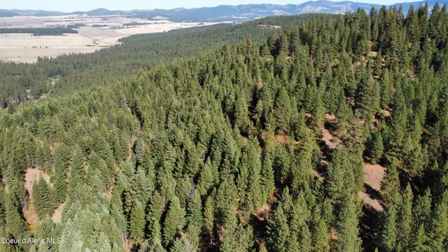 $190,000 | 2 Dole Camp Road, Desmet, ID 83824