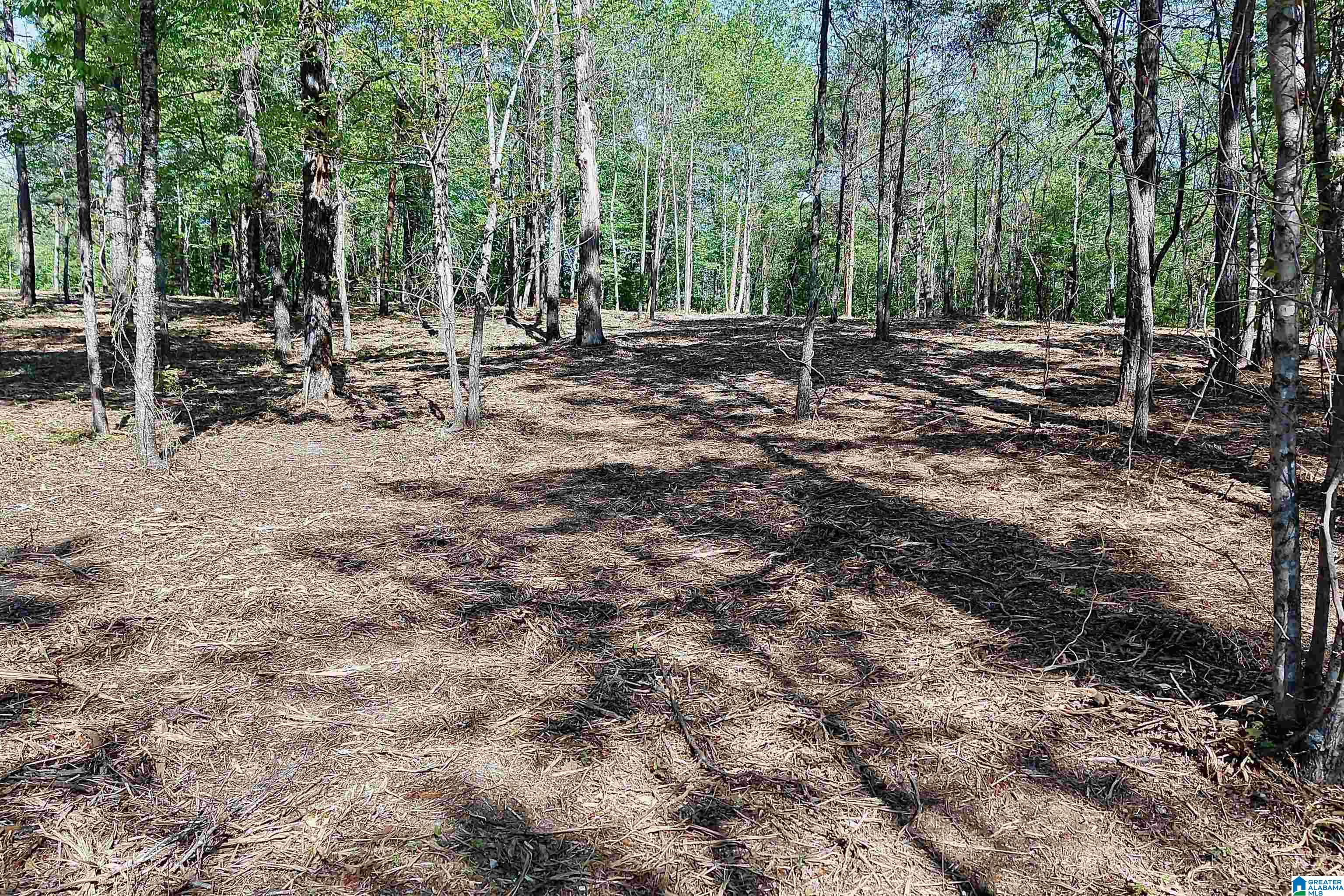 246 Spring Water Farms, Unit 2 Helena, AL 35022 - Photo 12 of 25