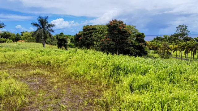 $595,000 | 31-154 Lot 15 Hawaii Belt Road, Hakalau, HI 96710