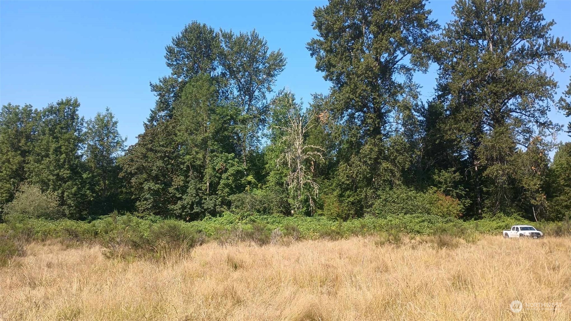 B8 C Lone Tree Road Randle, WA 98377 - Photo 2 of 8