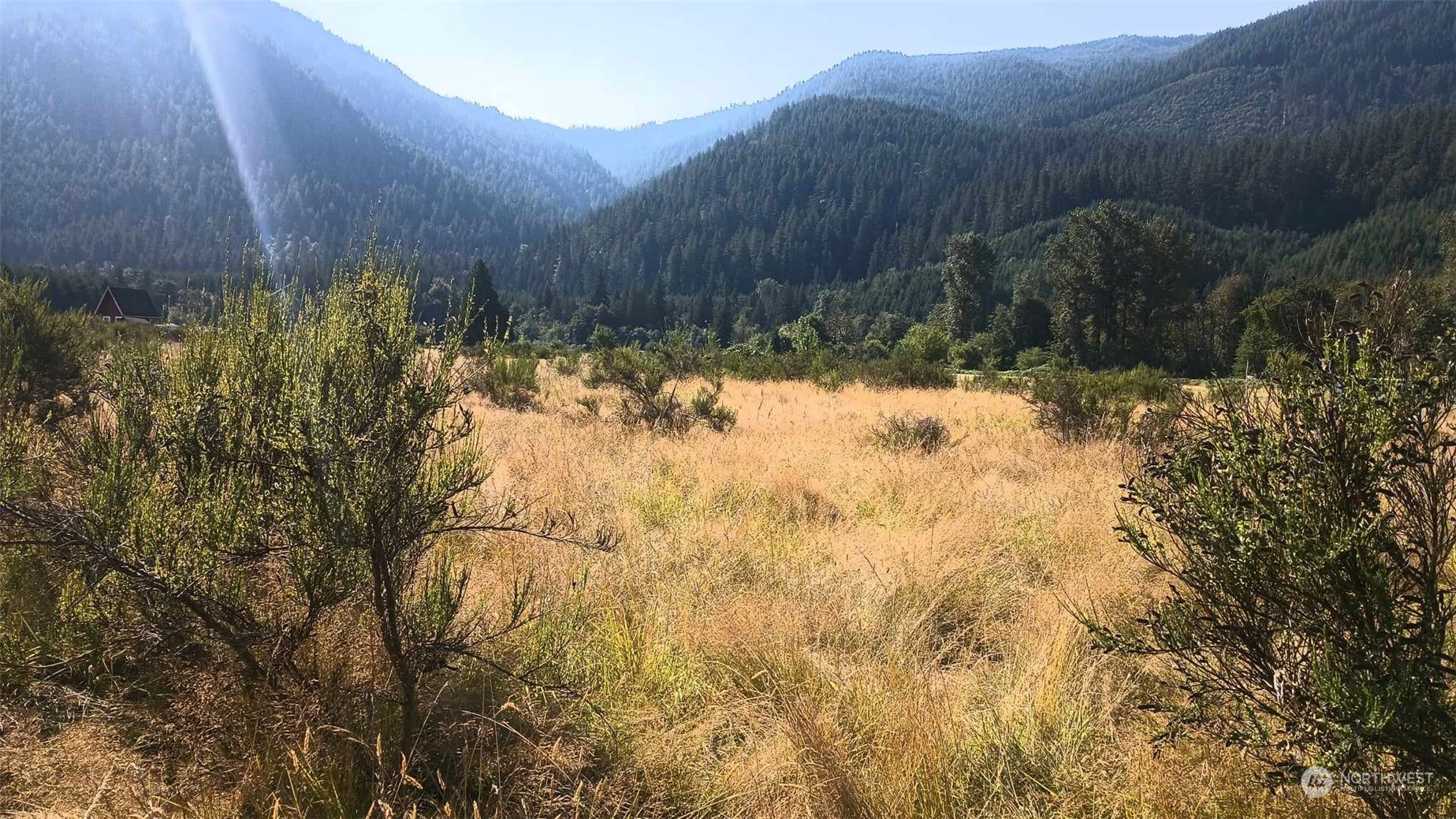 B8 C Lone Tree Road Randle, WA 98377 - Photo 3 of 8