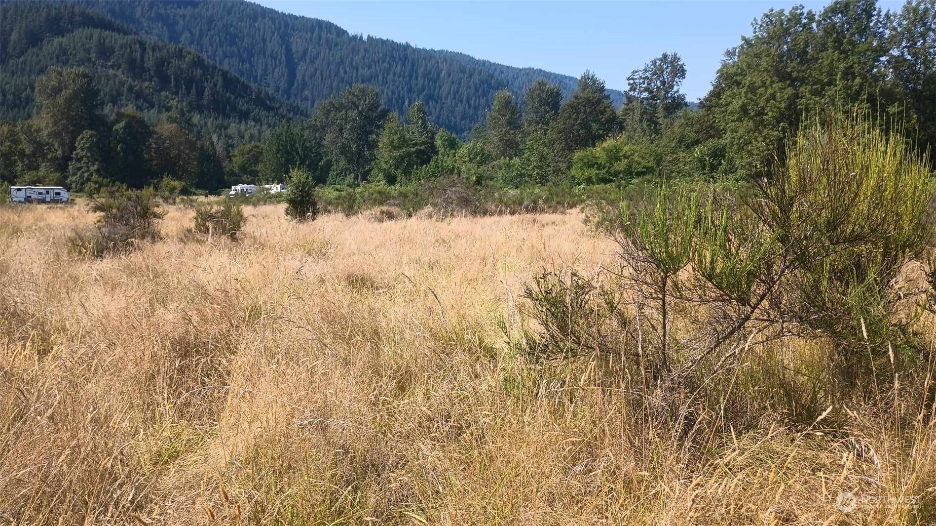 B8 C Lone Tree Road Randle, WA 98377 - Photo 4 of 8