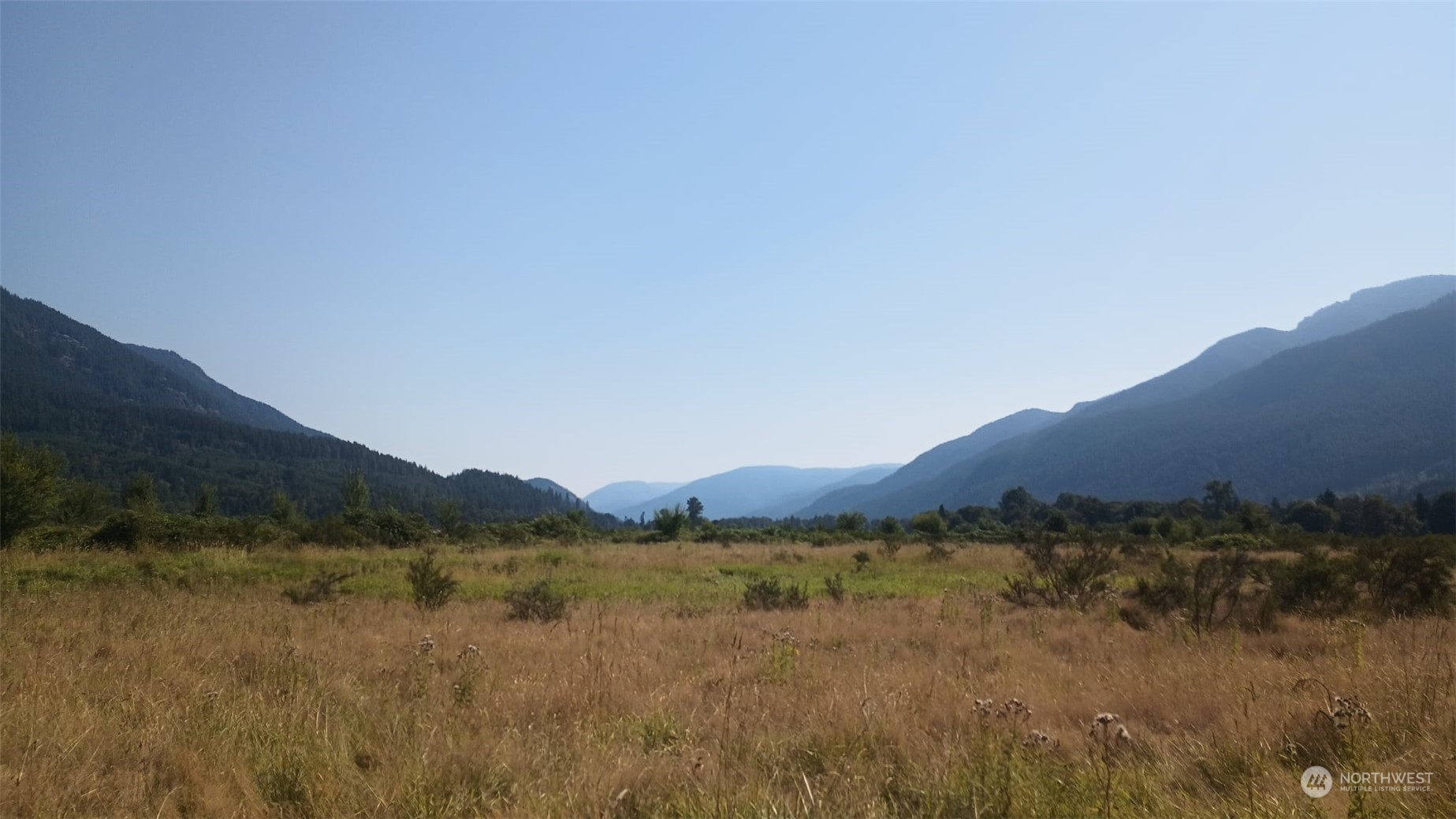 B8 C Lone Tree Road Randle, WA 98377 - Photo 6 of 8