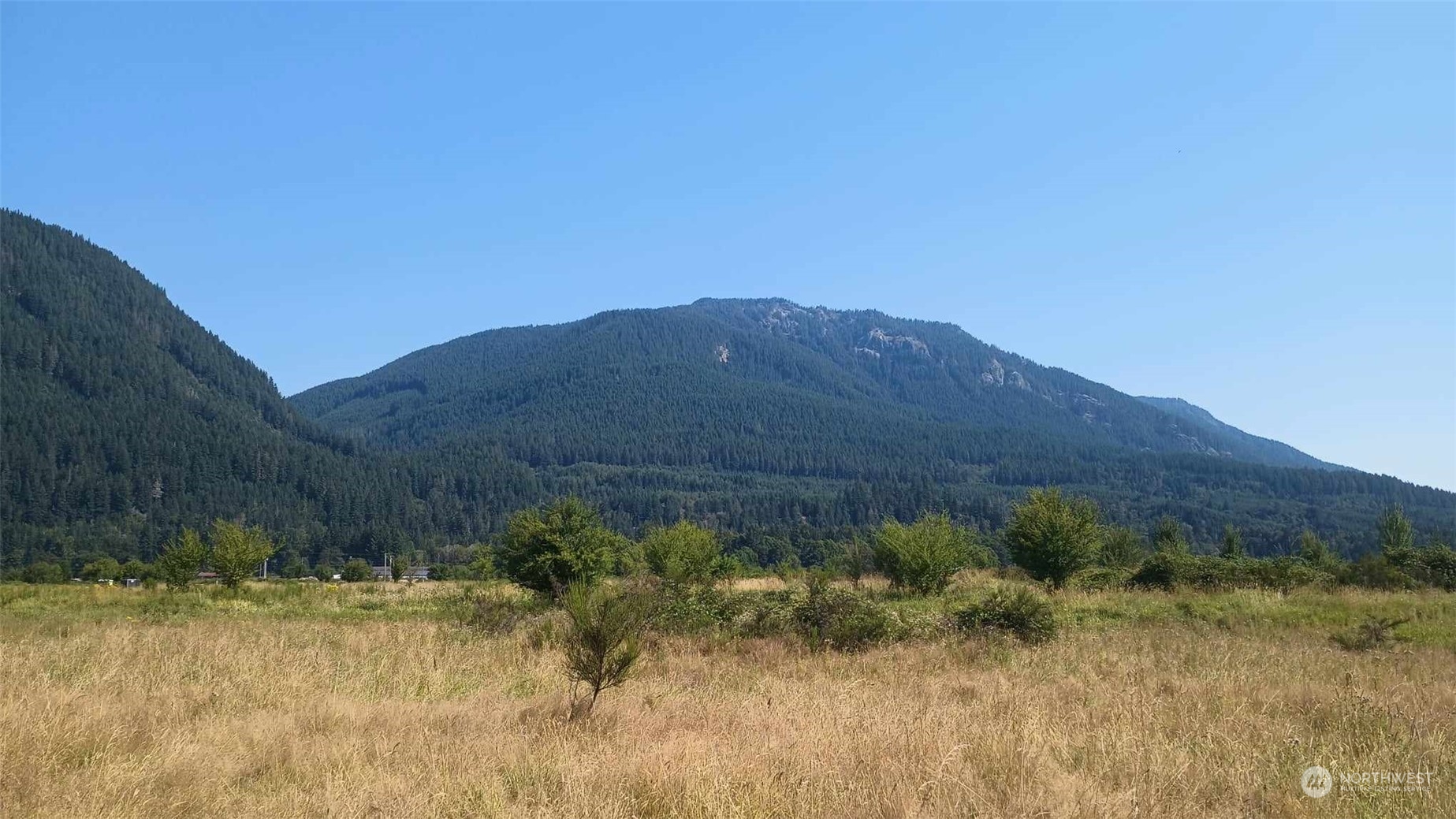 B8 C Lone Tree Road Randle, WA 98377 - Photo 7 of 8