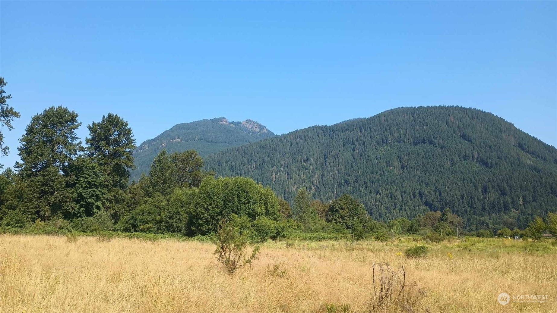 B8 C Lone Tree Road Randle, WA 98377 - Photo 8 of 8