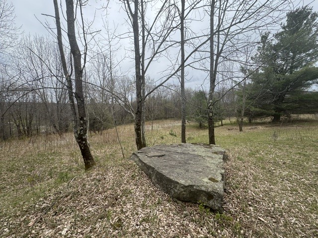 Lot 4 Shaver Hill Road Meridale, NY 13806 - Photo 43 of 44