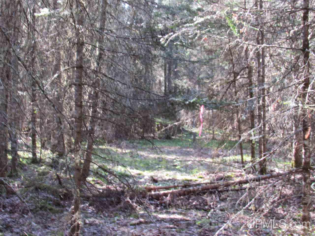 M28 (west) Lanse, MI 49946 - Photo 19 of 30